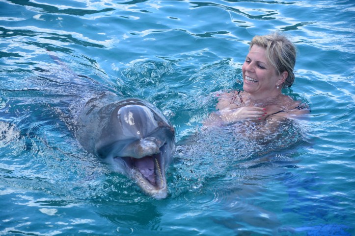 806AFADA-9DA6-4355-A967-F01A4A152B07